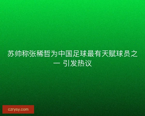 苏帅称张稀哲为中国足球最有天赋球员之一 引发热议 苏帅称张稀哲为中国足球最有天赋球员之一 引发热议