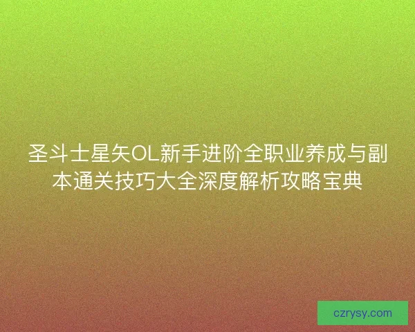 圣斗士星矢OL新手进阶全职业养成与副本通关技巧大全深度解析攻略宝典 圣斗士星矢OL新手进阶全职业养成与副本通关技巧大全深度解析攻略宝典
